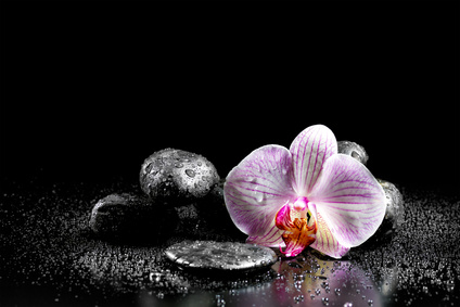 Orchid flower with zen stones on black background