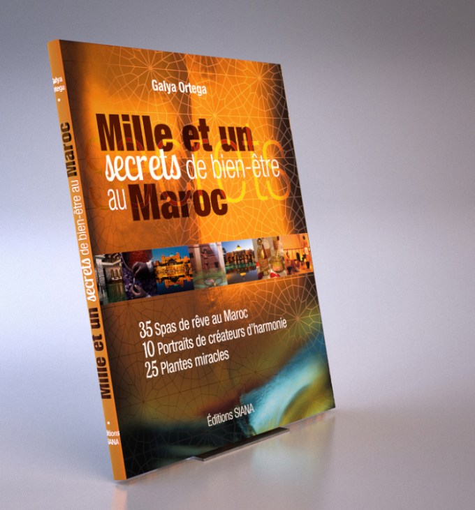 GalyaLIVRE-PresentationCOUV-3D-004