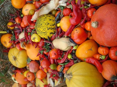 slowfood2-2016-e1452260955764