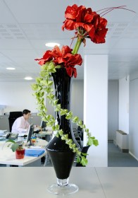 DS Ambiances 2016 - 1 sur 134 (73)