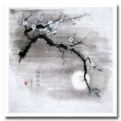 52645729a3b6ef6dfaa903f0f7b05ecd