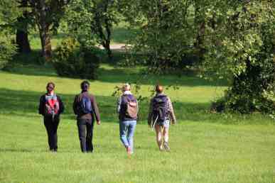 Mai 2018 (9) - copie