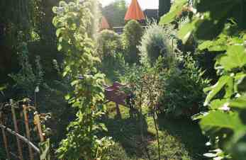 Relais Bernard Loiseau @JonathanThévenet (21) - copie 2