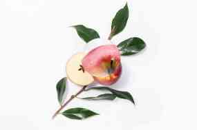 EVOLEUM-POMMES-LOUPE - copie