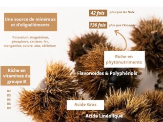 9fd6aeaec134a68f1d435eae92b3cba0c5cc04fc3d708a7ca4e9a95891408395 - copie