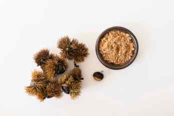 L_ACCENT - packshot poudre et châtaigne - copie